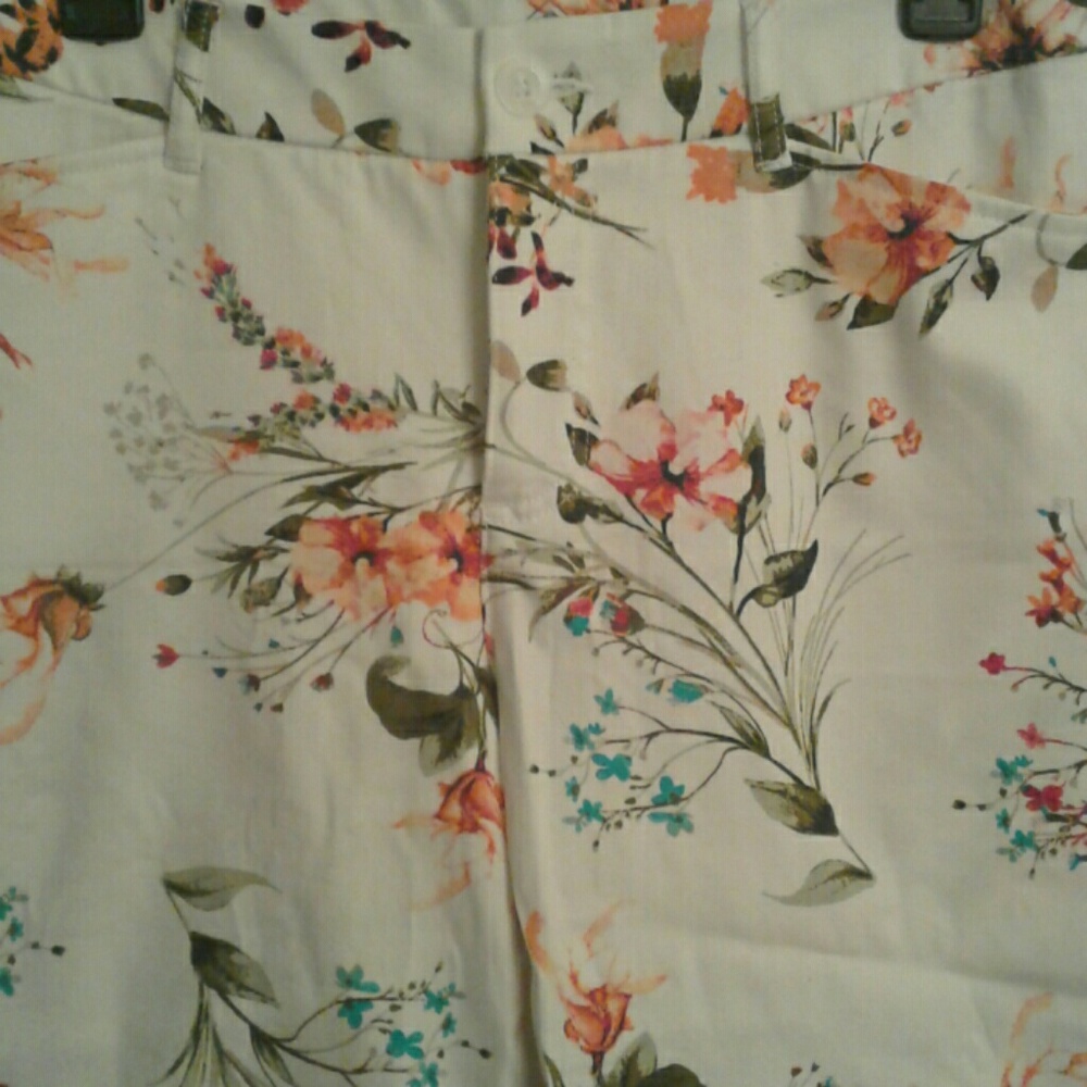 Capris - Picture 4 of 4
